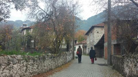 Dikencik Cottages